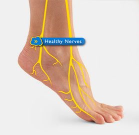 foot pain x-ray healthy nerves