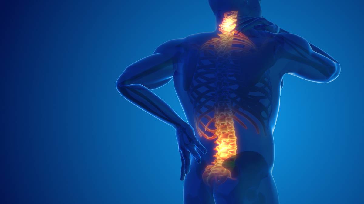 concept of chronic pain in neck and back